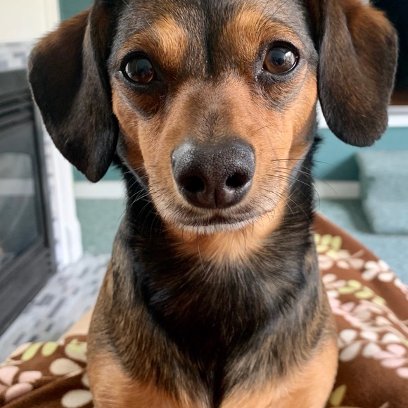 💕💚 Hi! I'm your Posher, Jess! 💚💕 - Picture 11 of 11